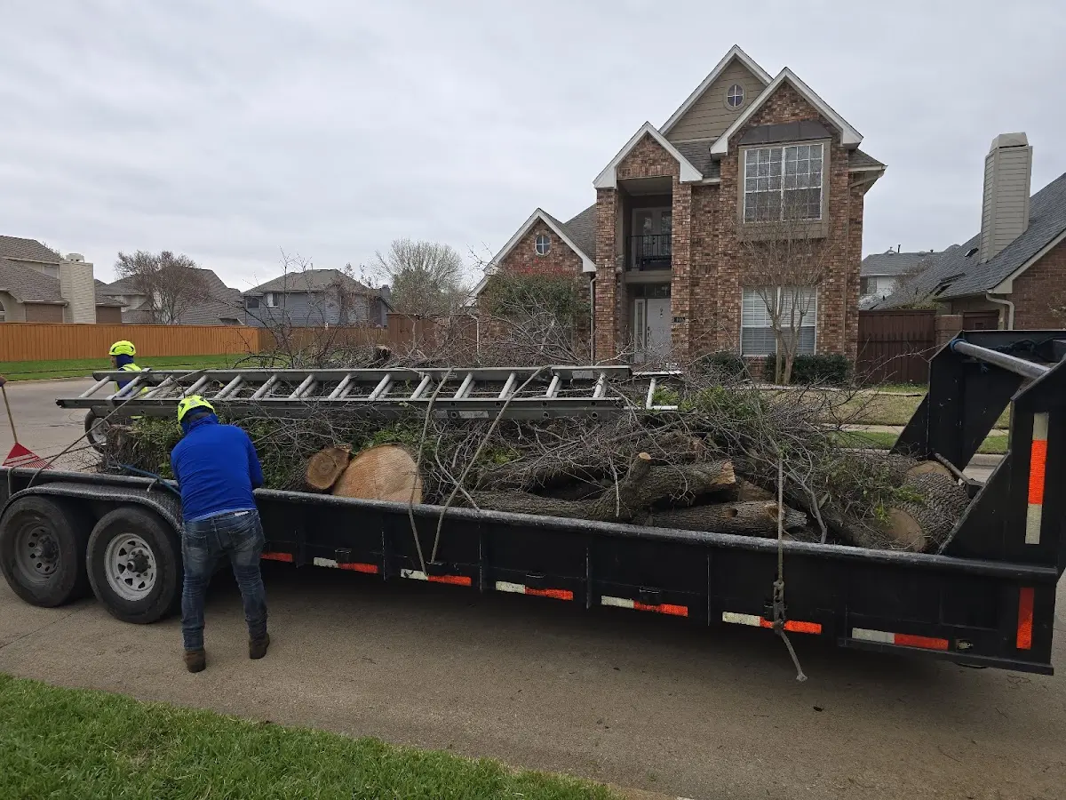 Expert Tree Removal with proper safety equipment in Clarington